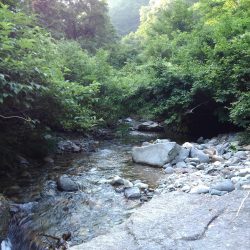 真夏のイワナ釣り